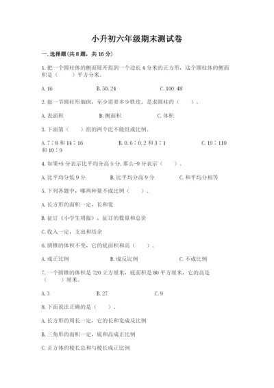 小升初六年级期末测试卷及答案（典优）.docx