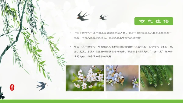 春分春天的白花通用PPT模板