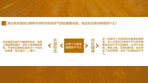 初中语文茅盾《白杨礼赞》PPT教学课件