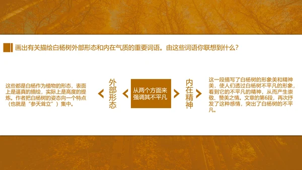初中语文茅盾《白杨礼赞》PPT教学课件