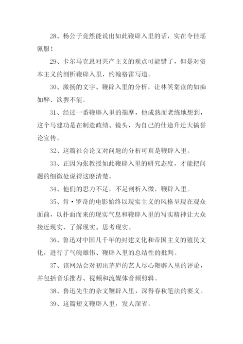 鞭辟入里造句.docx