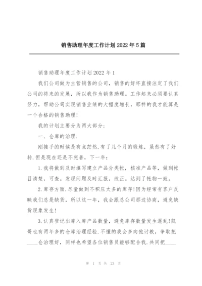 销售助理年度工作计划2022年5篇.docx