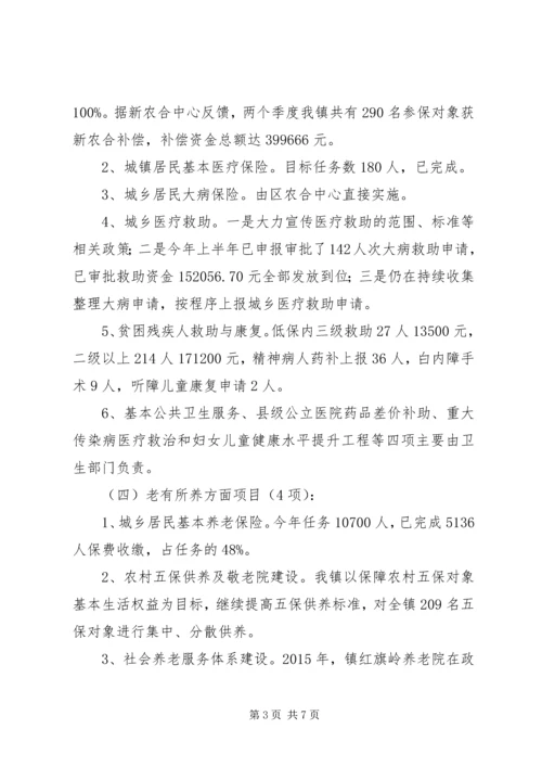 乡镇年度民生工程实施工作总结.docx