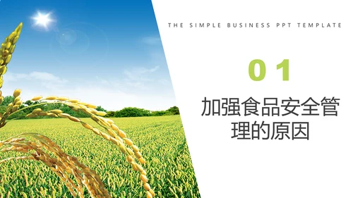 如何预防食品安全事故绿色蔬菜PPT模板