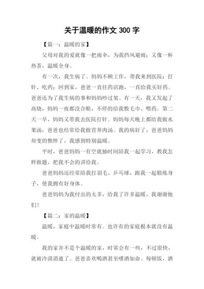 关于温暖的作文300字.docx