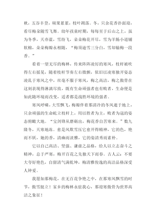 平凡中的发现作文700字.docx