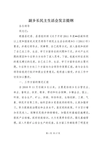 副乡长民主生活会发言提纲.docx