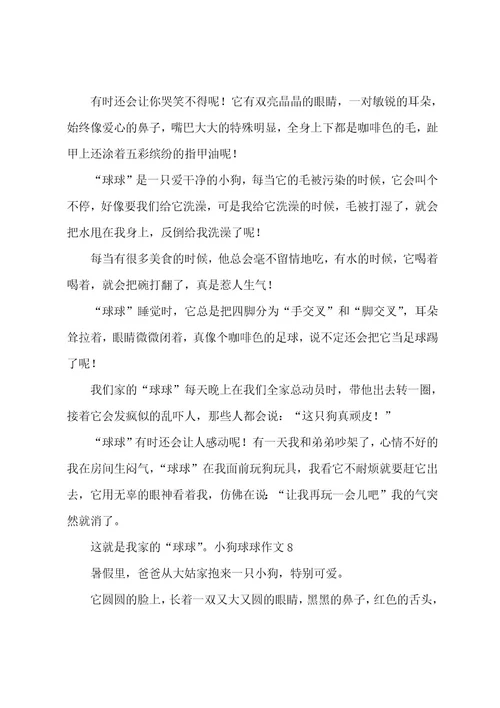 小狗球球作文