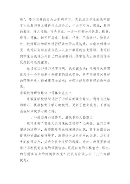 寒假教师研修培训心得体会.docx