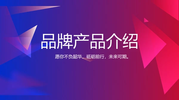 大气时尚品牌公司产品介绍宣传通用PPT
