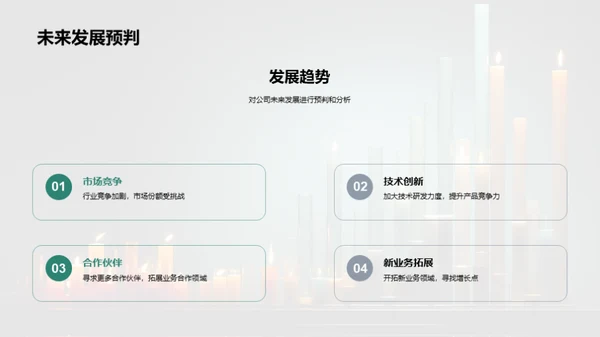 财务状况剖析与展望