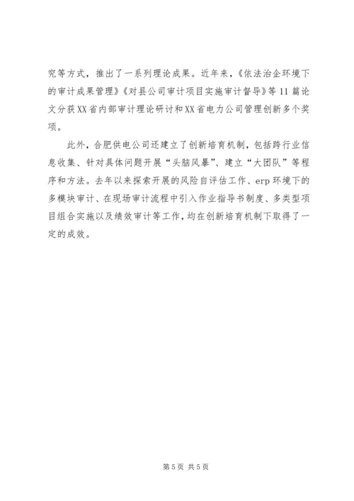 企业内部审计工作经验总结.docx