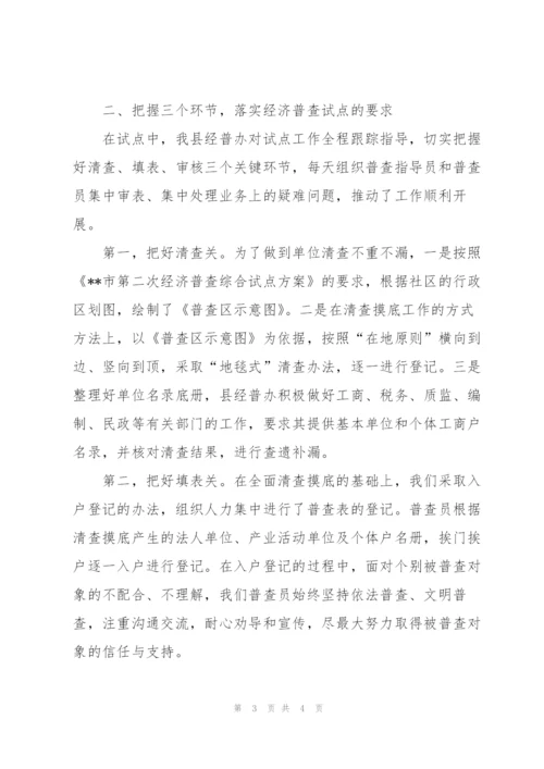 市第二次全国经济普查综合试点工作情况汇报.docx