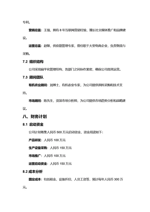 商务风商业计划书