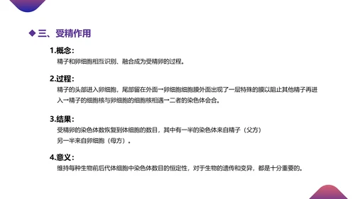 初高中生物课减数分裂作用PPT教学课件