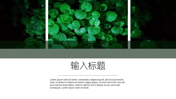 绿色叶子一叶一菩提通用PPT模板