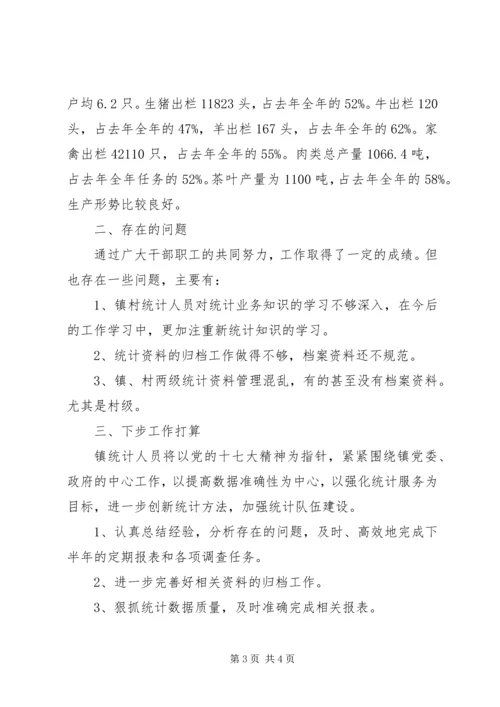 乡镇统计站年度工作总结.docx