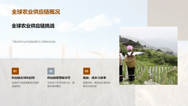 农业供应链的创新与优化