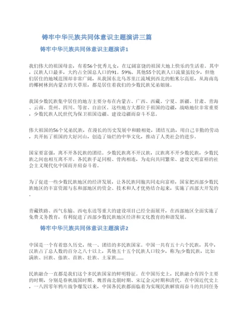 铸牢中华民族共同体意识主题演讲范文三篇.docx