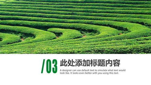 清新茶文化采茶茶道茶艺茶文化PPT模板