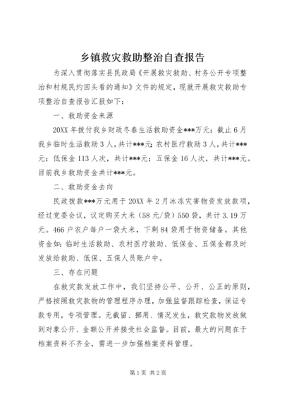 乡镇救灾救助整治自查报告.docx