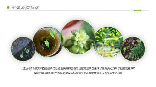 唯美绿色植物生长发芽敬畏生命PPT模板