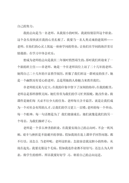 我的理想老师作文500字