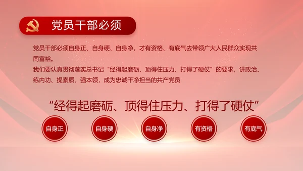 红色党支部党员大会年终工作总结PPT