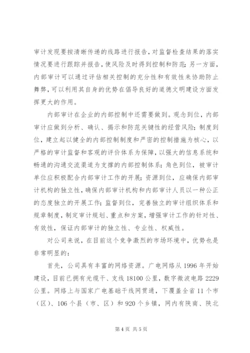 广电系统某公司审计部门个人工作总结感想范文.docx