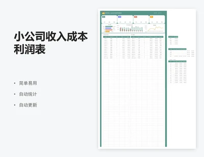 小公司收入成本利润表