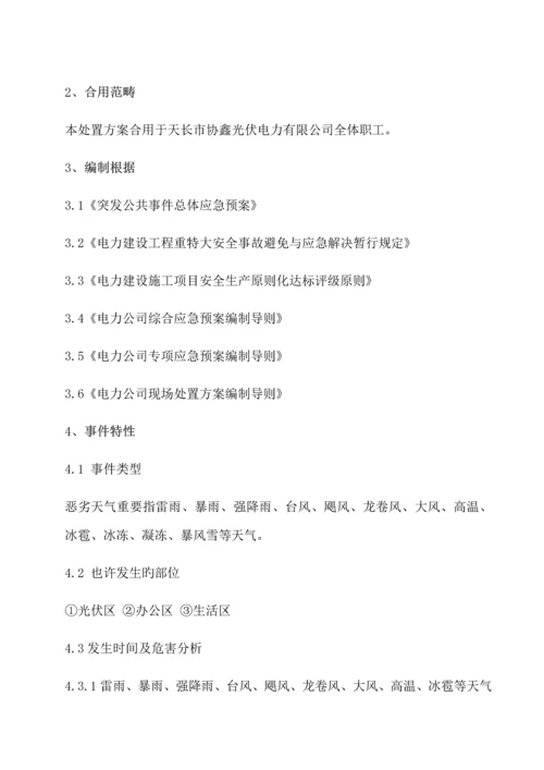 极端天气应急处置专题方案.docx