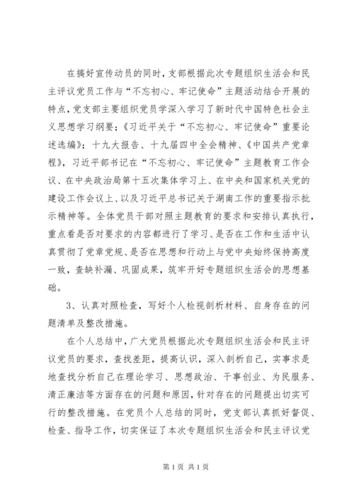 不忘初心牢记使命主题教育专题组织生活会和民主评议党员工作总结.docx