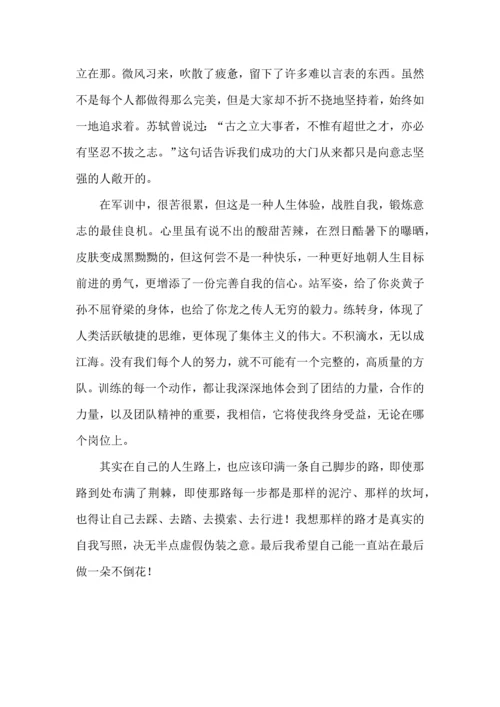 初中军训心得体会合集6篇.docx