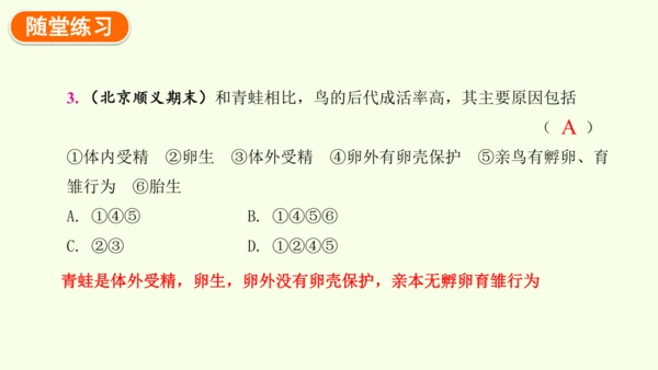 7.1.4鸟的生殖和发育-八年级生物人教版下学期同步精品课件(共24张PPT)