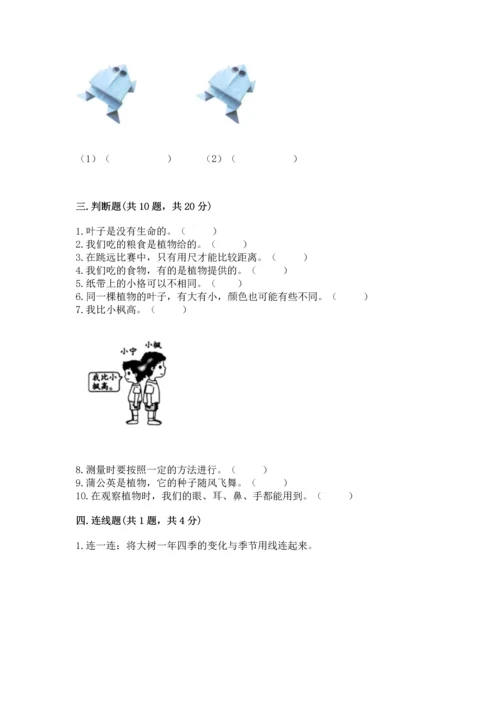 教科版一年级上册科学期末测试卷含完整答案【易错题】.docx