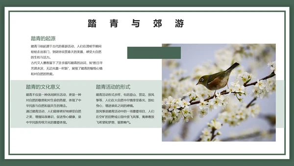 中国风清明节ppt模板