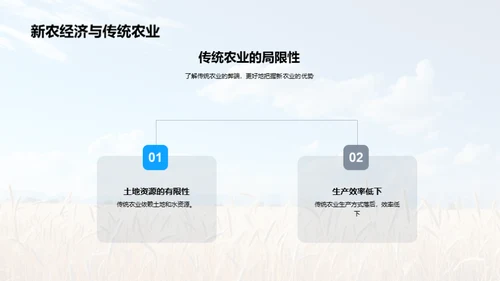 活动策划助力农经济