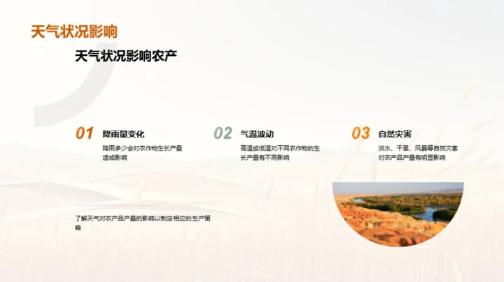 农产品产量分析报告