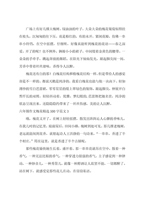 六年级作文槐花500字
