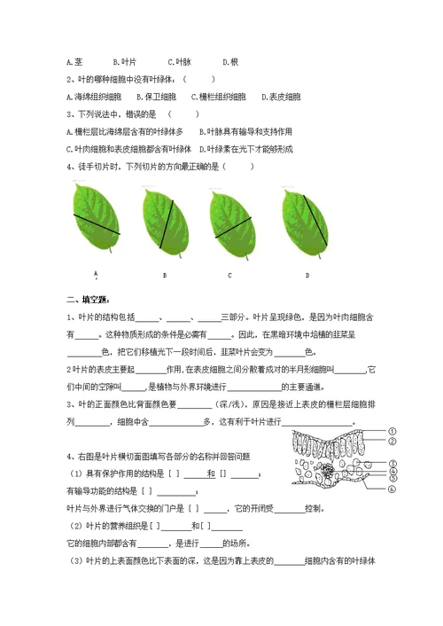 七年级生物上册第3单元绿色植物的光合作用和呼吸作用6.2植物光合作用的场所导学案（新版）苏教版