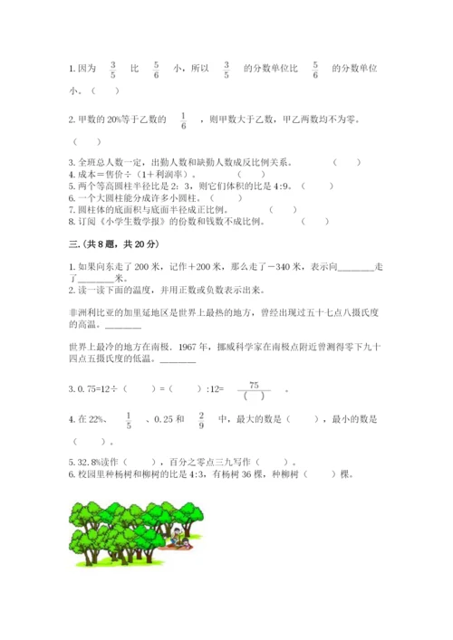 河北省【小升初】2023年小升初数学试卷带答案（精练）.docx