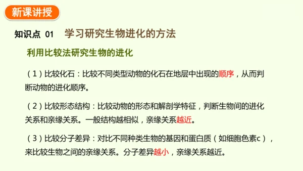 7.3.2生物进化的历程-八年级生物人教版下学期同步精品课件(共34张PPT)