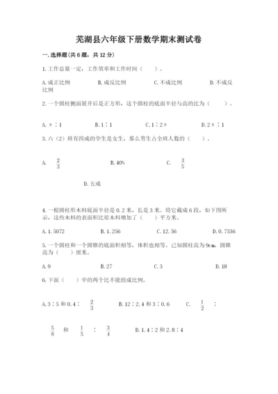 芜湖县六年级下册数学期末测试卷（名师系列）.docx