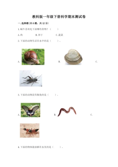 教科版一年级下册科学期末测试卷（巩固）.docx