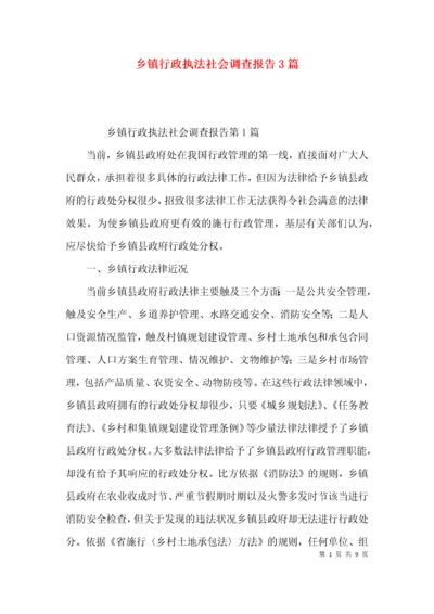 乡镇行政执法社会调查报告3篇.docx