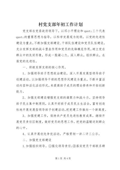 村党支部年初工作计划 (3).docx