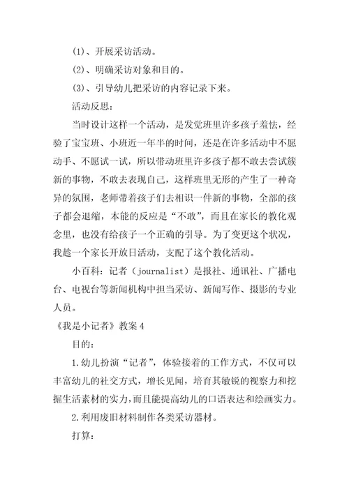 我是小记者教案