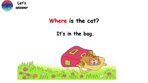 Module 8 Unit 2 Where's the cat？课件（共30张PPT）