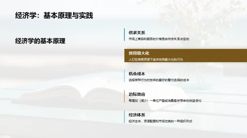 探索经济学新视角