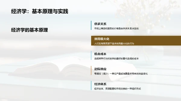 探索经济学新视角